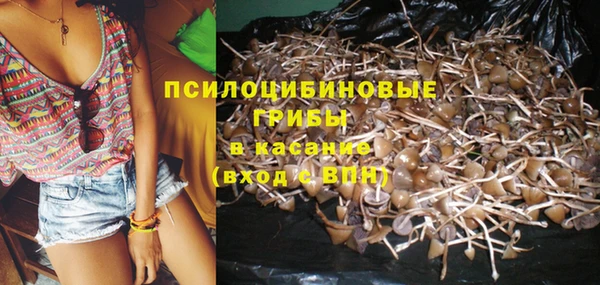соль курить ск Алексеевка