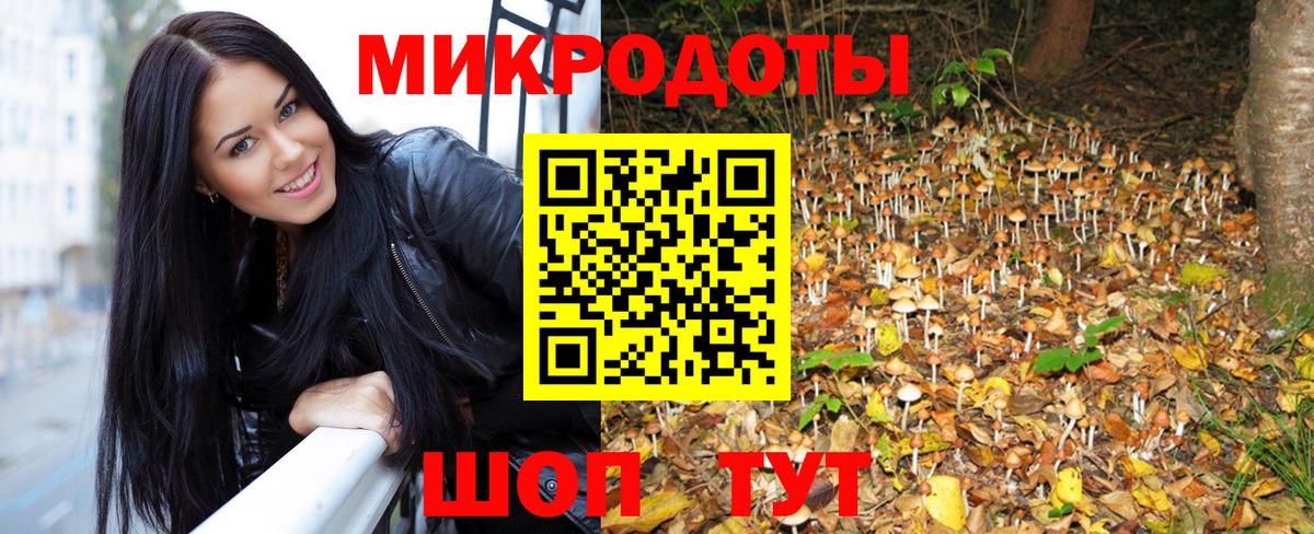 Полевской  Псилоцибиновые грибы Psilocybine cubensis  Вход с VPN 
