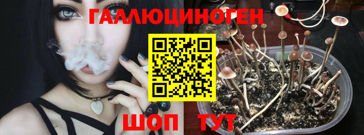 Псилоцибиновые грибы прущие грибы Полевской